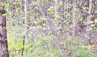 Parcel 2 Lakeshore, Applegate, MI 48401