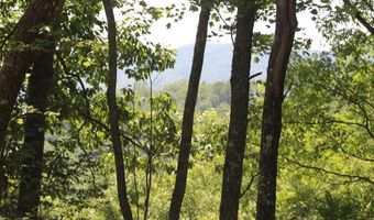 Fontana Trace lot 18, Almond, NC 28702