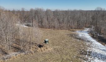 Sandy Branch Road, Bardwell, KY 42023