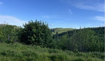 NW LODGE Rd, Banks, OR 97106