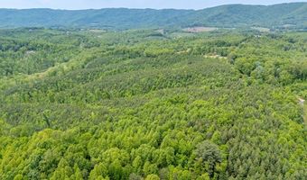 Ahart Ridge Rd lot 58 60 61, Ararat, VA 24053