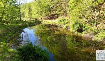 1619 Squirrel Creek Rd, Ararat, VA 24053