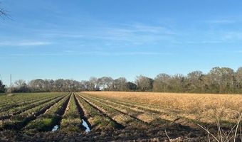 S Hospital Drive, Abbeville, LA 70510