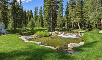 383 Red Lion Rd, Anaconda, MT 59711