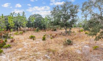 NE 131 Place, Archer, FL 32618