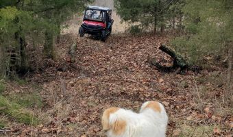 4775 S 50th Rd, Aldrich, MO 65601