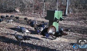 50 Acres Scenic Hwy, Attalla, AL 35954