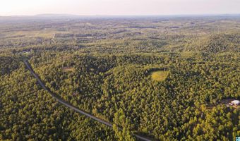 200 TABLEE LANE Lot 17.65, Ashland, AL 36251