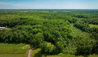 46254 Rutabaga Rd, Askov, MN 55704