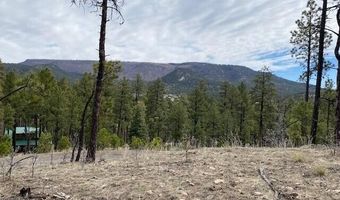 000 COUNTY ROAD 2193, Alpine, AZ 85920