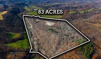 0 W Captina Highway Rd, Alledonia, OH 43902