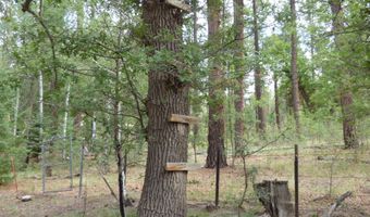 38 CR 2266, Alpine, AZ 85920
