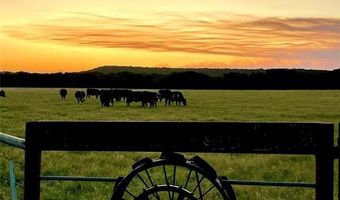 600 A Wilson Bend Rd, Millsap, TX 76066