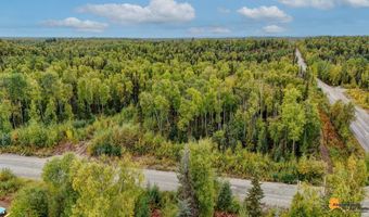 6092 S Purinton Pkwy, Big Lake, AK 99623