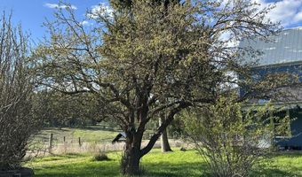 2288 CEDONIA-ADDY Rd B, Addy, WA 99101