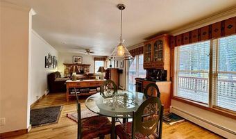112 GREY SQUIRREL Ln, Blue River, CO 80424