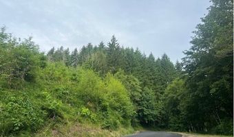 Northrup Creek Rd, Birkenfeld, OR 97016