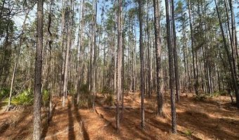 NW County Road 236, Bell, FL 32619