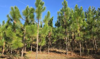 1228 River Rd, Ariton, AL 36311