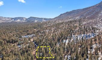 9 County Rd 2073, Alpine, AZ 85920