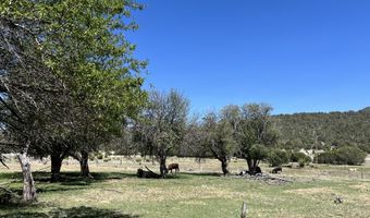 2664 Nm-12, Aragon, NM 87820