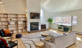 216 E Homestead Dr, Basalt, CO 81621