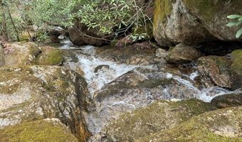62 Acres Buckeye Ridge Rd, Beech Mountain, NC 28604