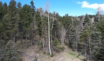 Tbd Apache Circle, Angel Fire, NM 87710