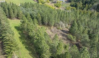 Three Trees Ln, Amity, OR 97101