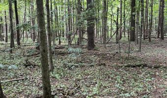 V/L 108th Avenue, Allegan, MI 49010