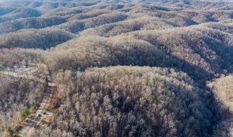 Tract # 1A Malone Ridge Rd, Albany, KY 42602