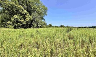 Flint Rd. E 0, Attica, IN 47918