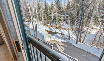 990 E Hopkins Ave, Aspen, CO 81611