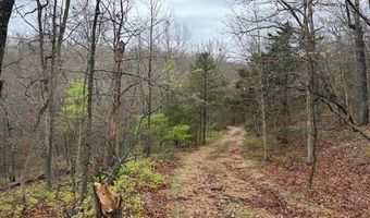 Lot 42 Lookout DR, Bella Vista, AR 72714