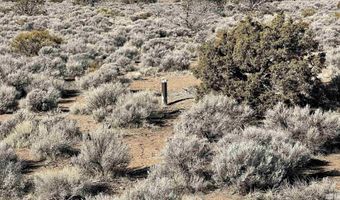 1290 Jo Ln, Gardnerville, NV 89410