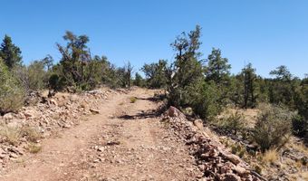 363 Big Vw, Ash Fork, AZ 86320