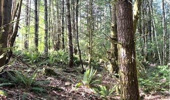 Nowakowski Rd, Banks, OR 97106