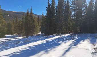 3553 RIVER Dr, Alma, CO 80420