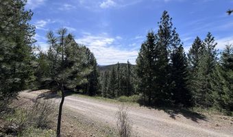 203 Richardsons Ridge Rd, Careywood, ID 83809
