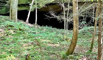 Coperas Cave Branch, Beattyville, KY 41311