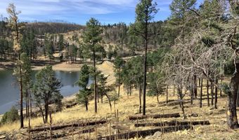 212 Lake Shore Dr 1, Alto, NM 88312