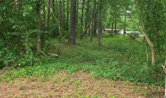 000 SHORE Dr 420, 421, 422, Ashville, AL 35953
