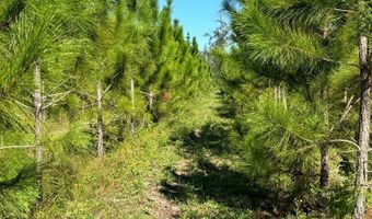 00 50th Ave, Bell, FL 32619