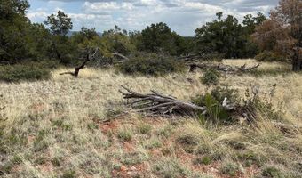 390 N Juniper Ranch Rd 108, Ash Fork, AZ 86320