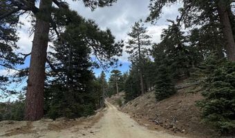 636 Mountain Center 35-0002, Mountain Center, CA 92561