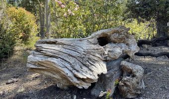 29331 Albion Ridge Rd, Albion, CA 95410