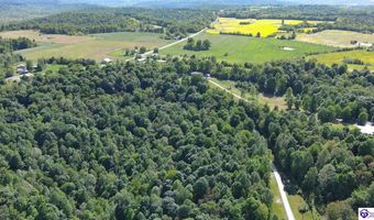 1630 Cedar Flat Rd, Battletown, KY 40104