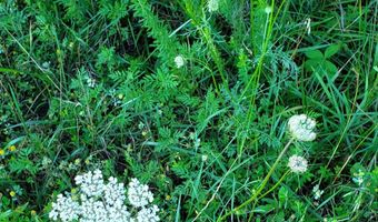 4775 S 50th Rd, Aldrich, MO 65601