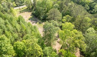 LOT 32 ROCK CREEK PENINSULA, Arley, AL 35541