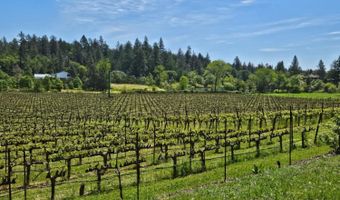 1275 Summit Lake Dr, Angwin, CA 94508